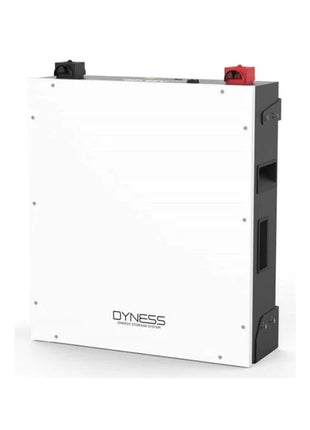 RCT Dyness A48100 48vDC 4.8Kwh Lithium Battery Module